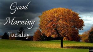 Good Morning Tuesday Images fall
