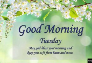 Good Morning Tuesday wishes