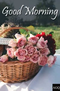 good morning flowers images with basket