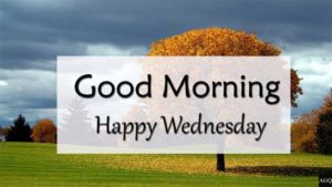 good morning wednesday images fall