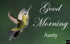 Good Morning Wishes for Aunty | Images and Pictures