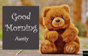 Good Morning Aunty Photos