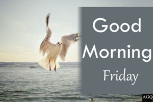 Good Morning Friday Images birds