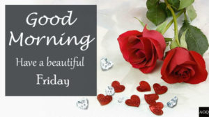 Good Morning Friday Images love-rose