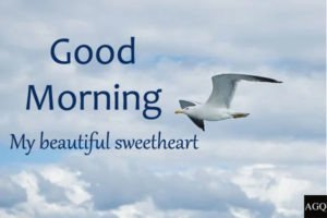 good morning beautiful sweetheart images