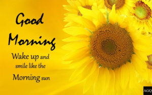 good morning nature images nature-and-flower-quotes