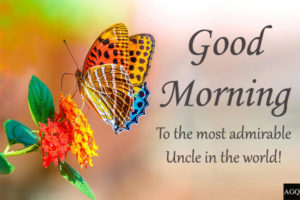 good morning uncle images butterfly