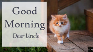 good morning uncle photos