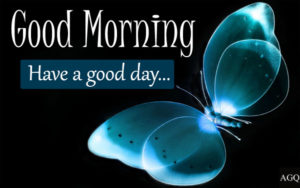 good morning butterfly images hd