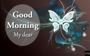 good morning butterfly photos download