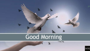good morning jesus images for mobile
