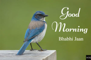 good morning bhabhi jaan images