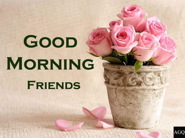 good morning dost wallpaper flowers | Lets Wake Up Early in the Morning