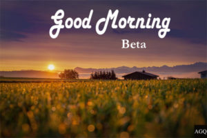 beautiful good morning beta image