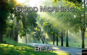 good morning beta image