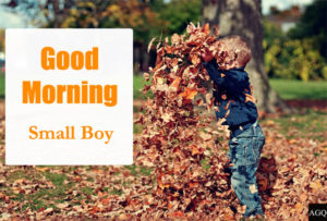 small boy good morning images