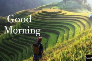 good morning village images picture