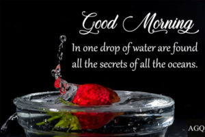 good morning water quotes