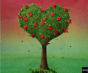 heart dp tree