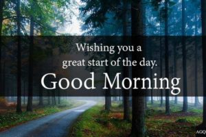 Good Morning Forest Images with english quotes