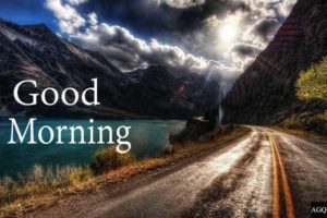 Good Morning Forest Road Images