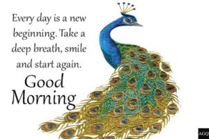 good morning peacock images with quotes