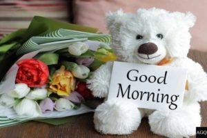 teddy good morning images