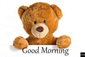 teddy good morning images hd