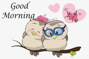 Good morning love cartoon bird images