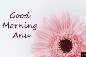 Good morning anu images free download
