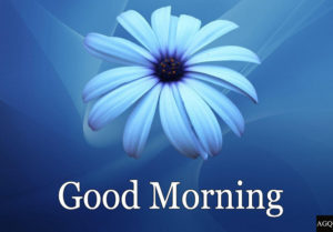 Good morning blue flowers images free download