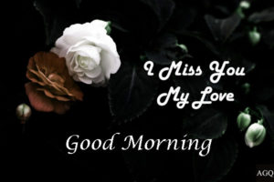 good morning miss you pic