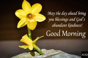 good morning daffodils image