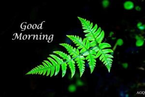Green good morning images free download