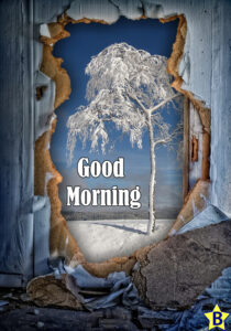 good morning winter nature wallpaper images