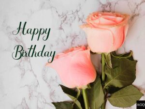 Happy Birthday Pink Rose Images 7