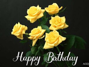 Happy Birthday yellow Rose Photo