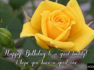 Happy Birthday yellow Rose Picture
