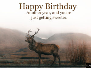 Happy Birthday Deer Image 1