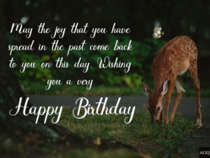 Happy Birthday Deer Image 14