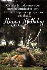 Happy Birthday Deer Image