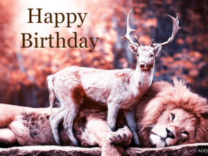 Happy Birthday Deer Image 5