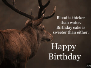 Happy Birthday Deer Image with quotes
