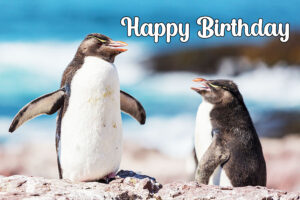 Happy Birthday Penguin Image 5