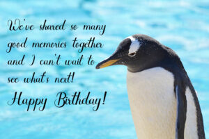 Happy Birthday Penguin Image with quote