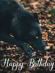 happy birthday wolf image 10