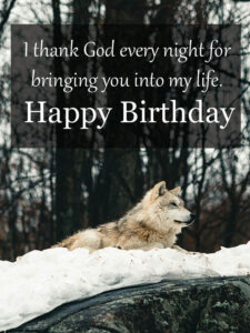happy birthday wolf image 11