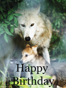 happy birthday wolf image 3