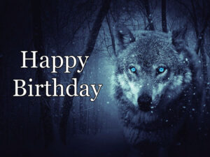happy birthday wolf image 6